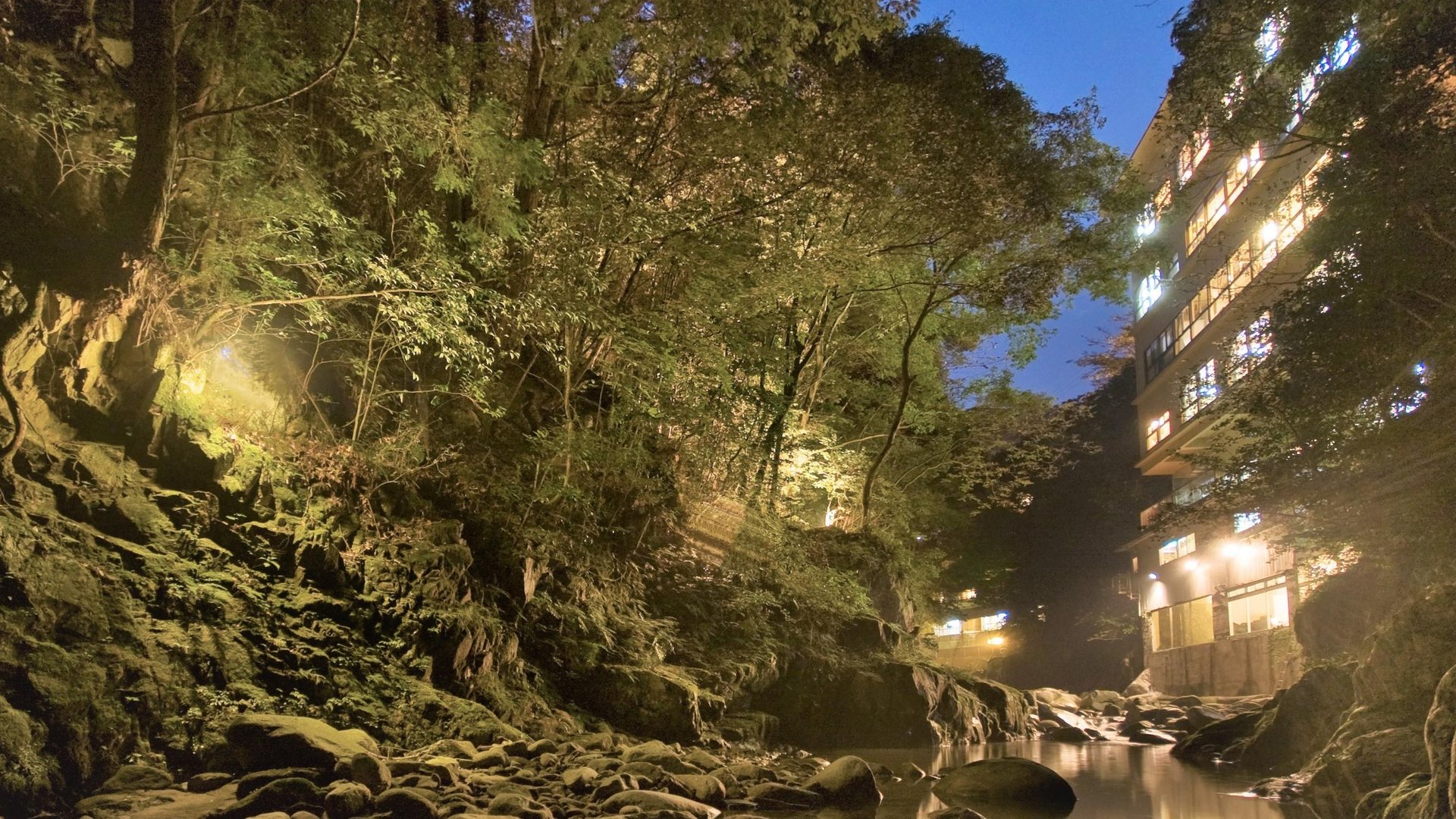 鈍川温泉 鈍川渓谷から見た美賀登の夜景 2023年